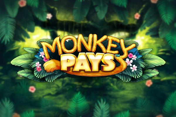 21231 monkey pays